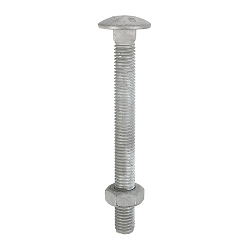 Carriage Bolts DIN603 & Hex Full Nuts DIN934 Hot Dipped Galvanised - M10
