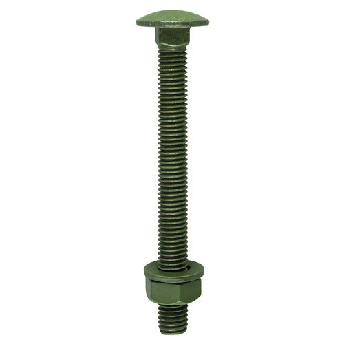 Carriage Bolts DIN603 Hex Nuts & Form A Washers Green Exterior - M10